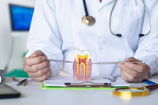 Best Walk-In Emergency Dental Services in Red Cloud, NE
